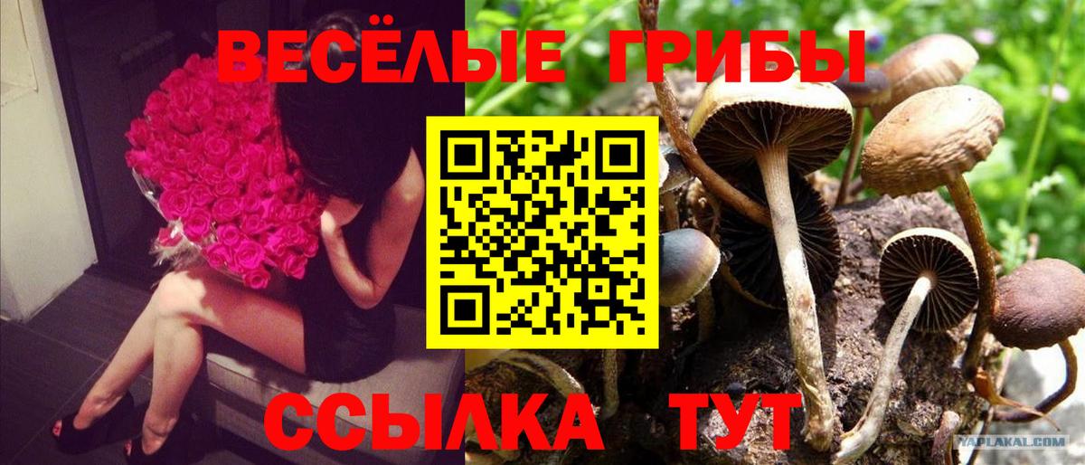 Codein  Вход с VPN  Cocaine  Мефедрон  Подольск  Гашиш  МЕФ кристаллы 
